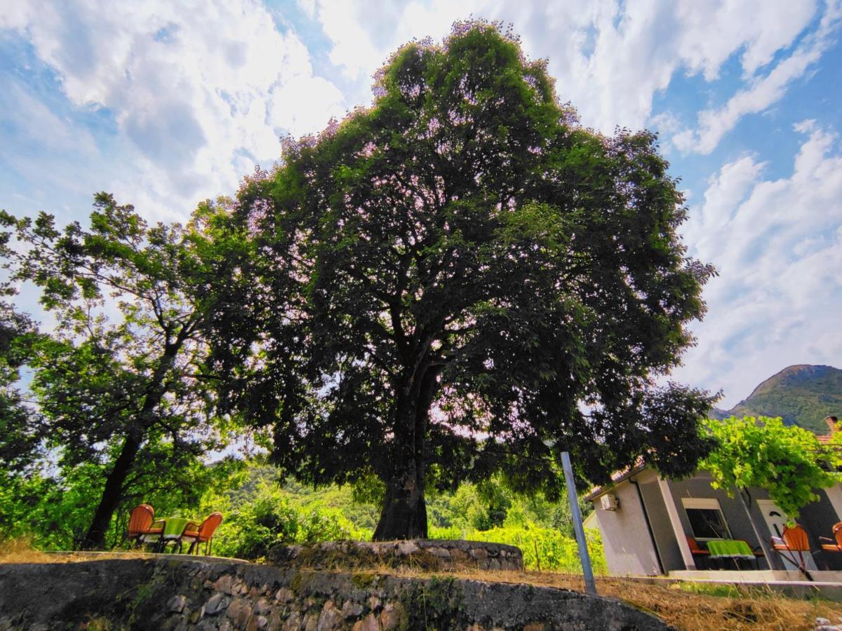 Celtis Shade House Villa Virpazar Exterior photo